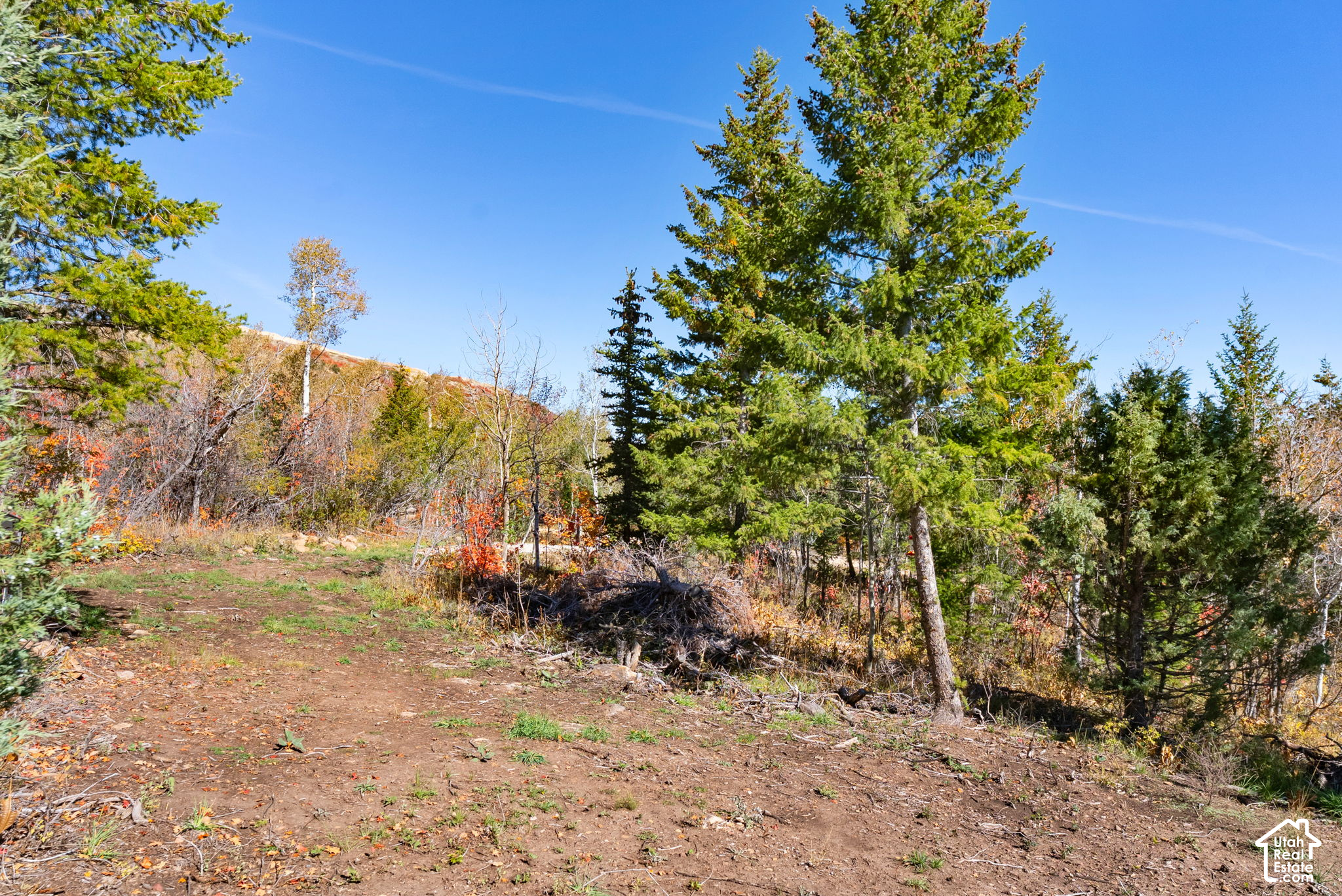 main property photo 11