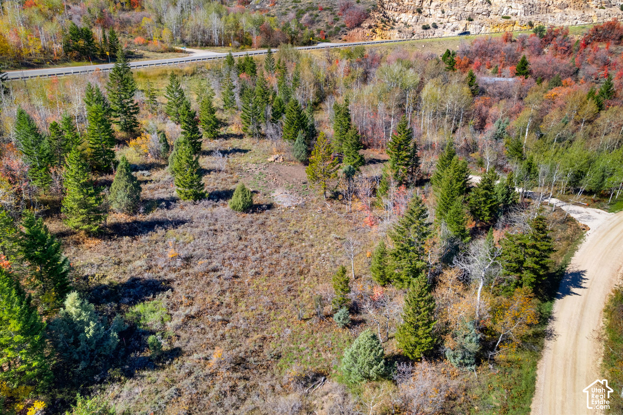 main property photo 13