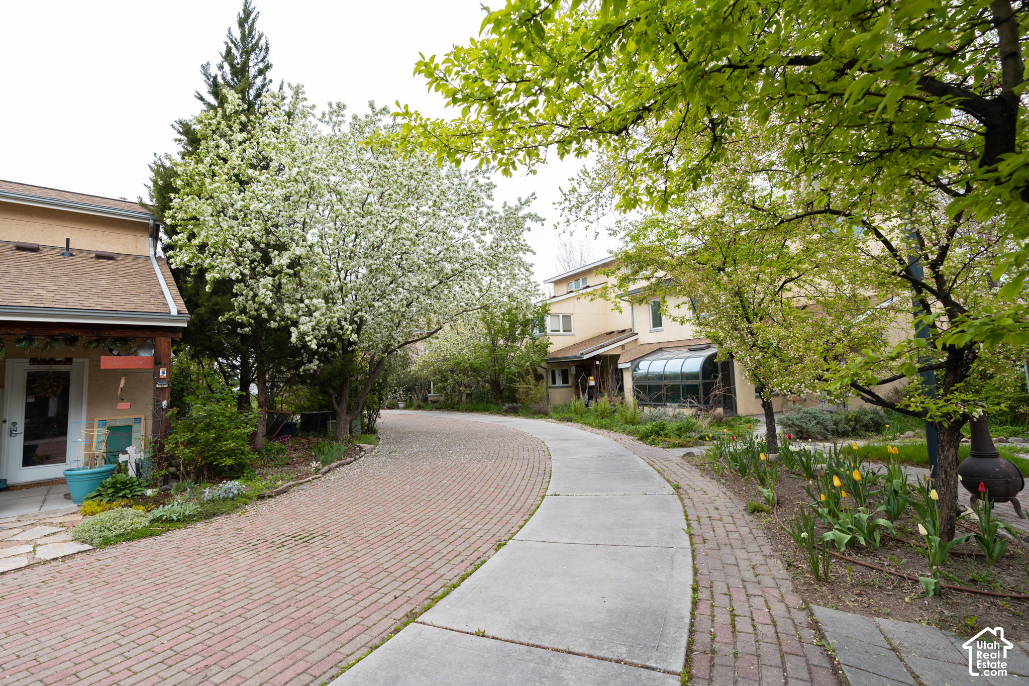 main property photo 58