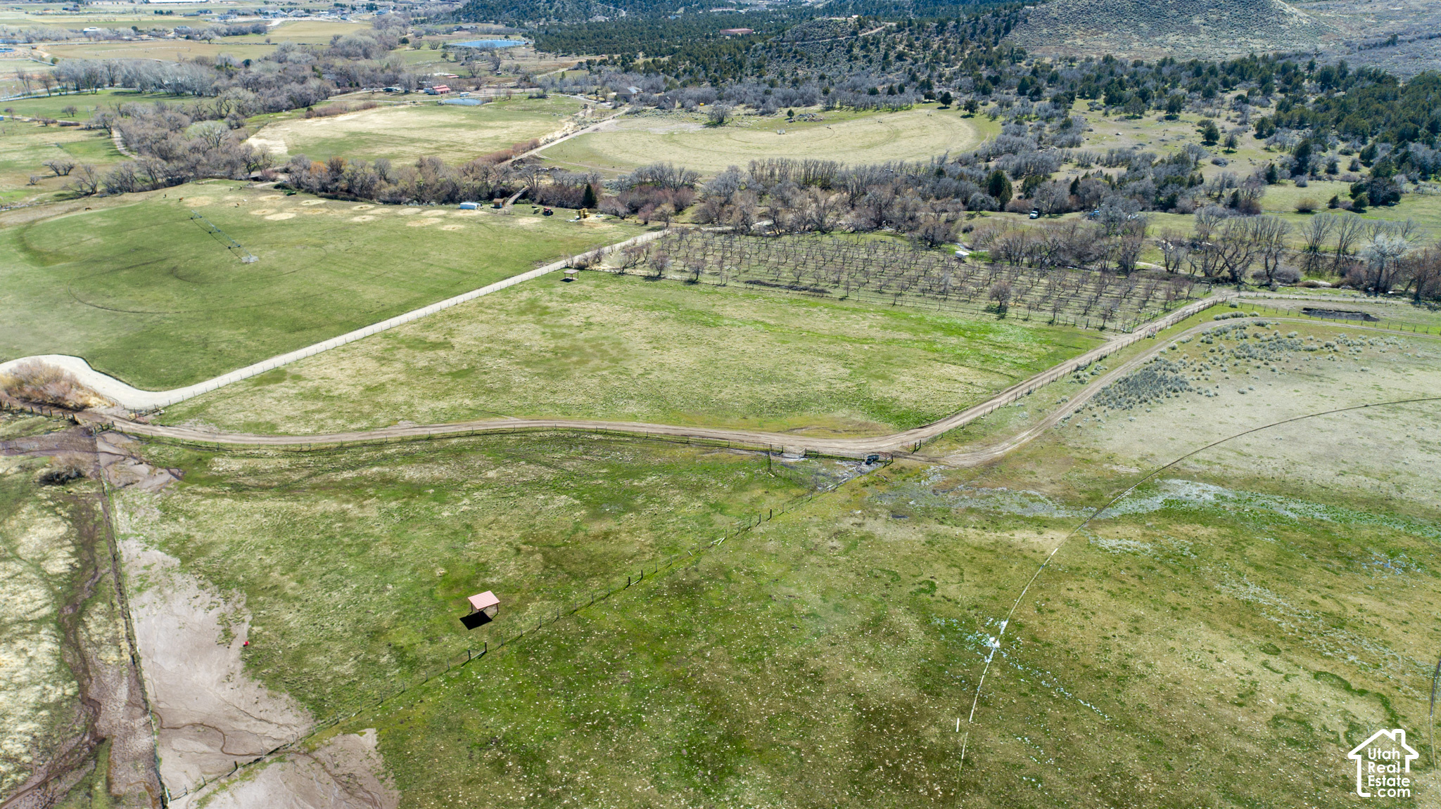 main property photo 12
