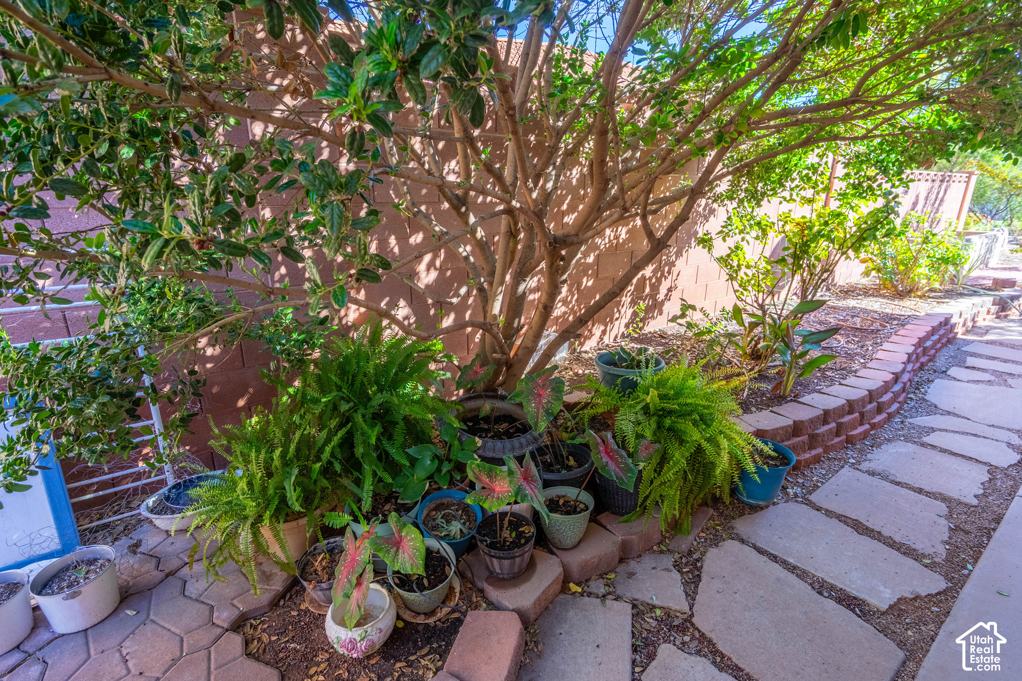 main property photo 100