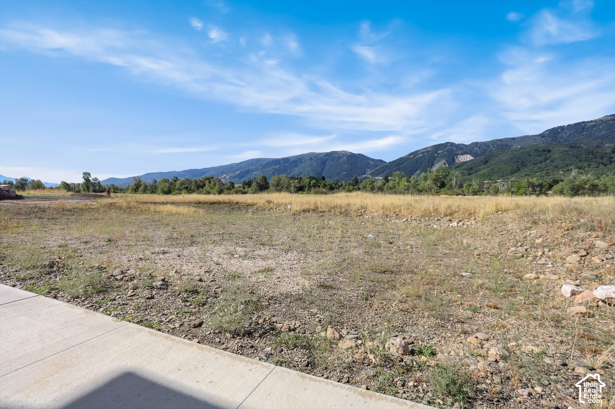 main property photo 93