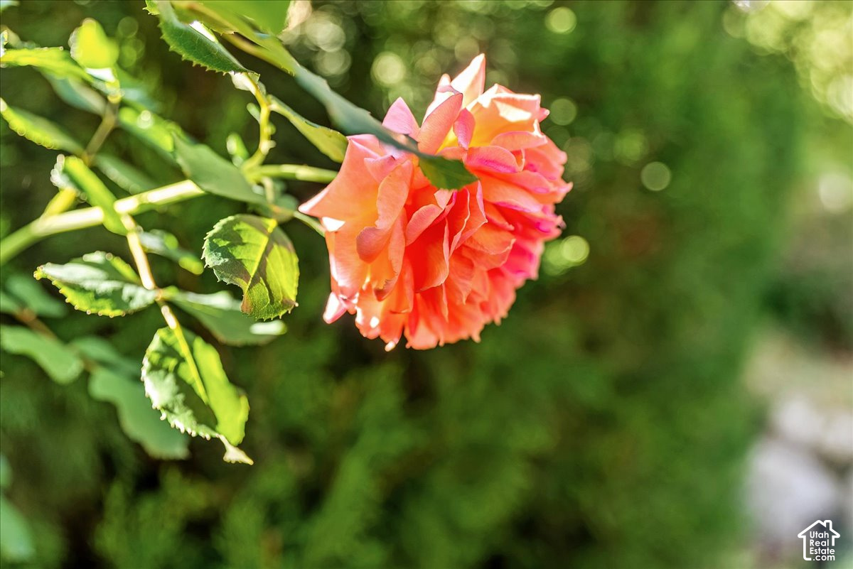 main property photo 72
