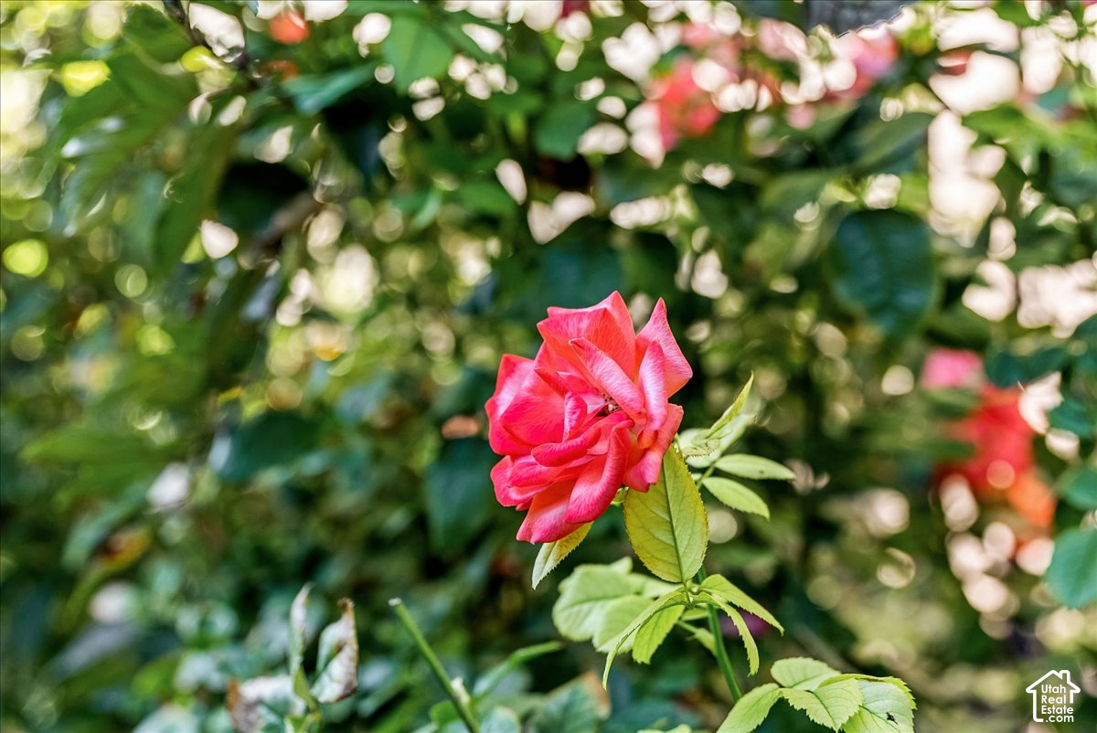 main property photo 74