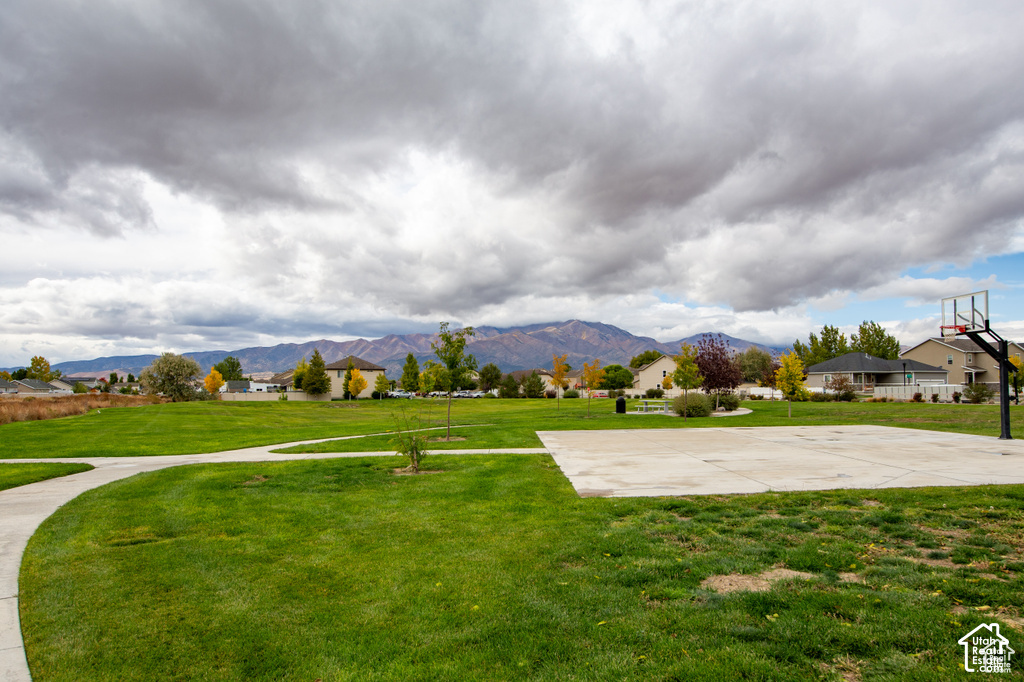 main property photo 7