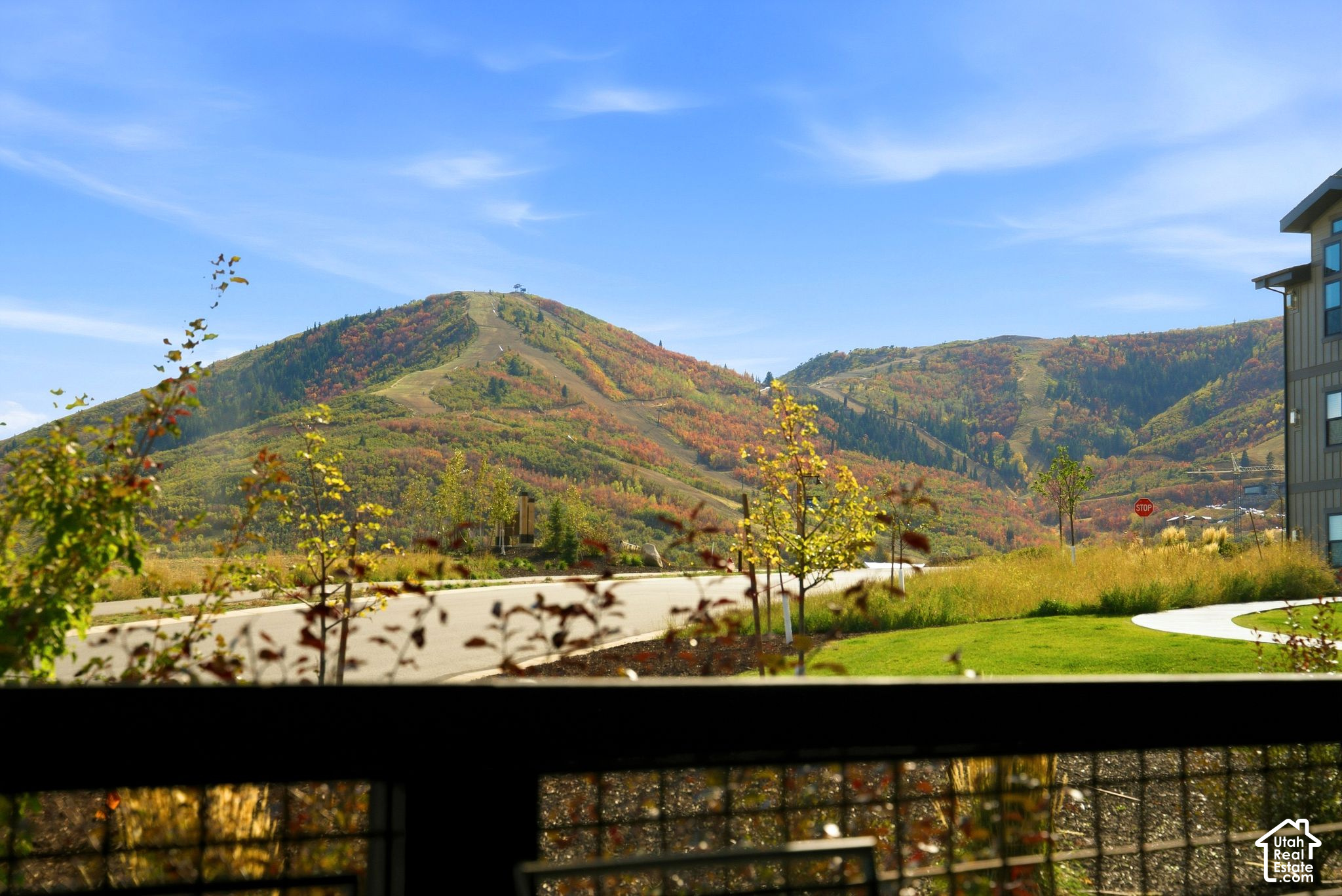 main property photo 22