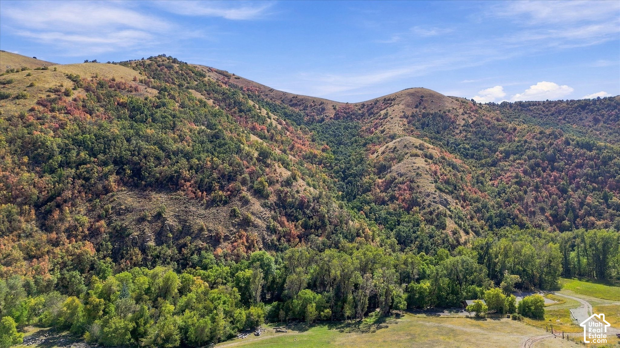 main property photo 13