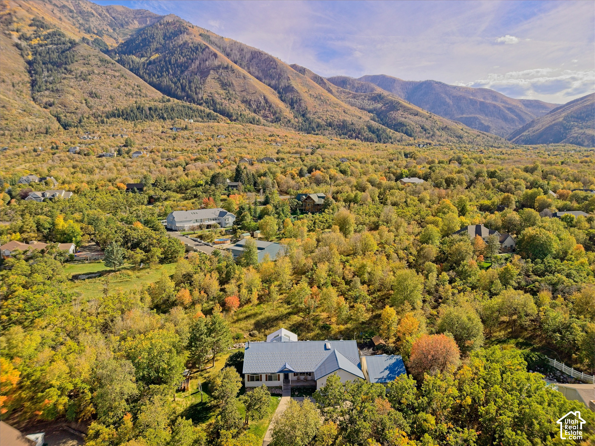 main property photo 42