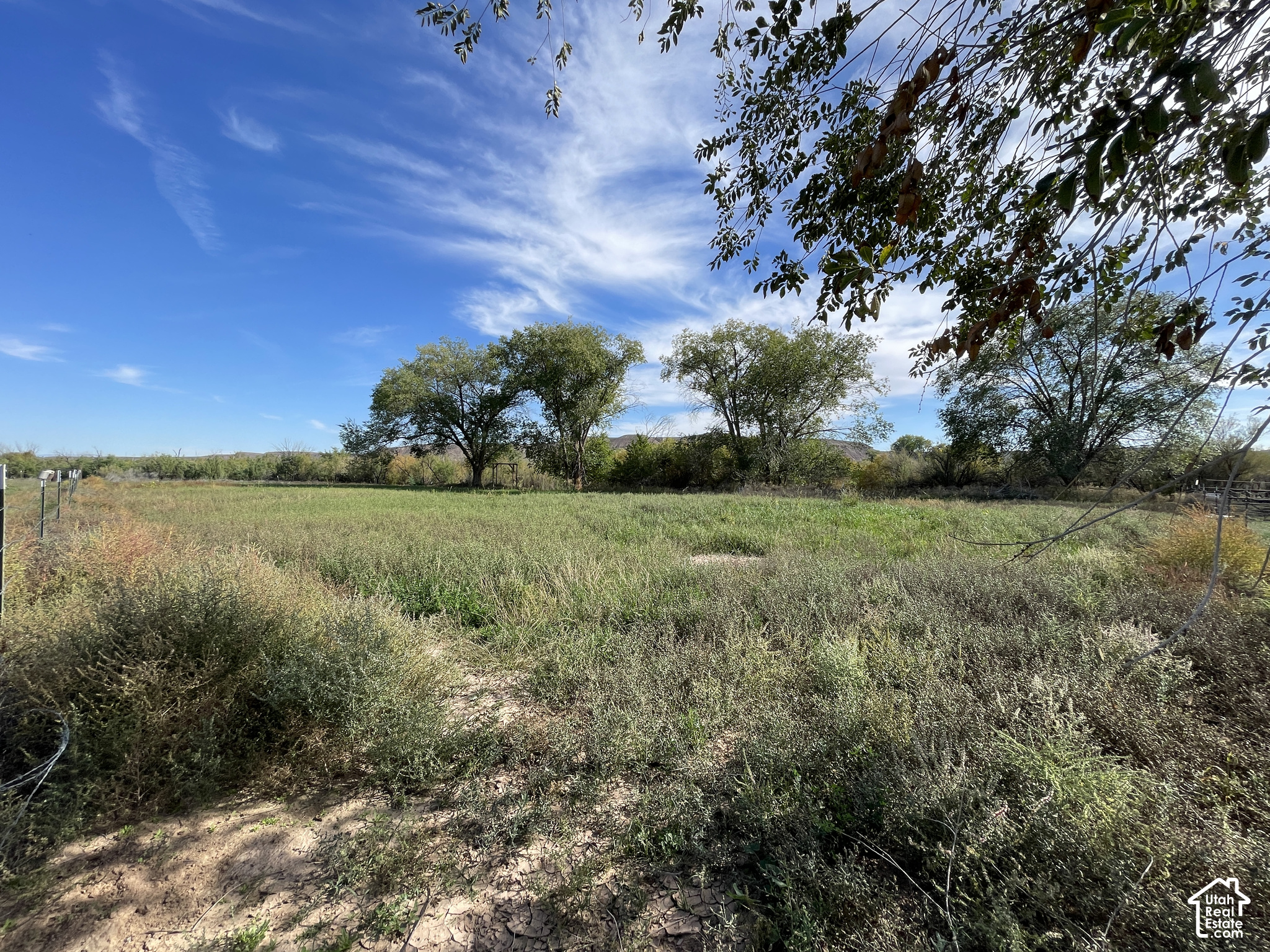main property photo 46