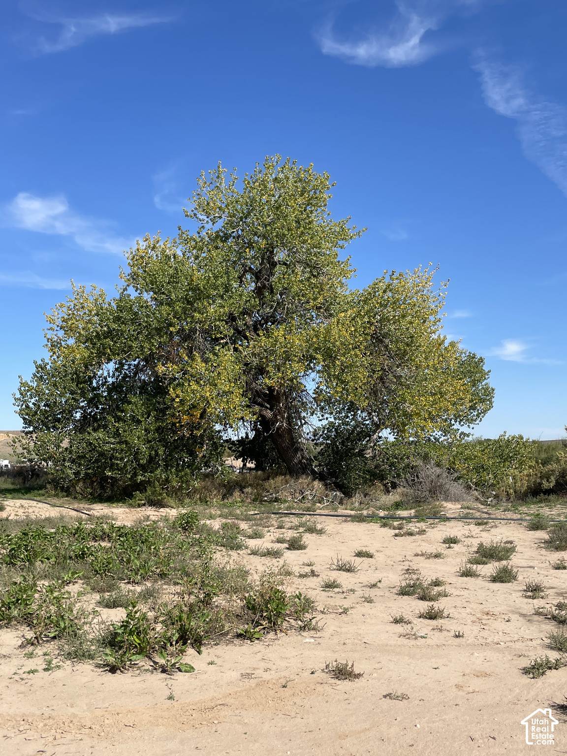 main property photo 50