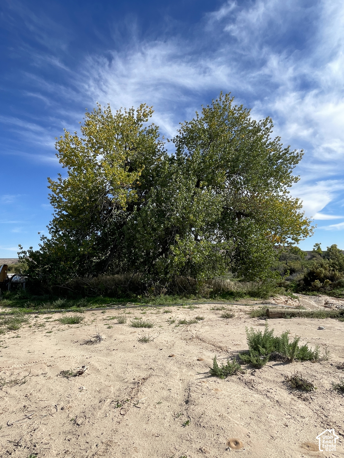 main property photo 51