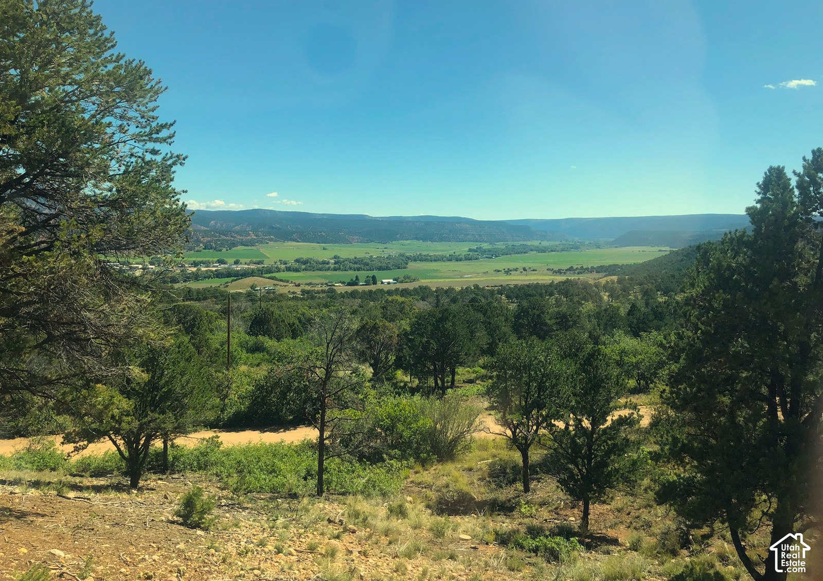 main property photo 19