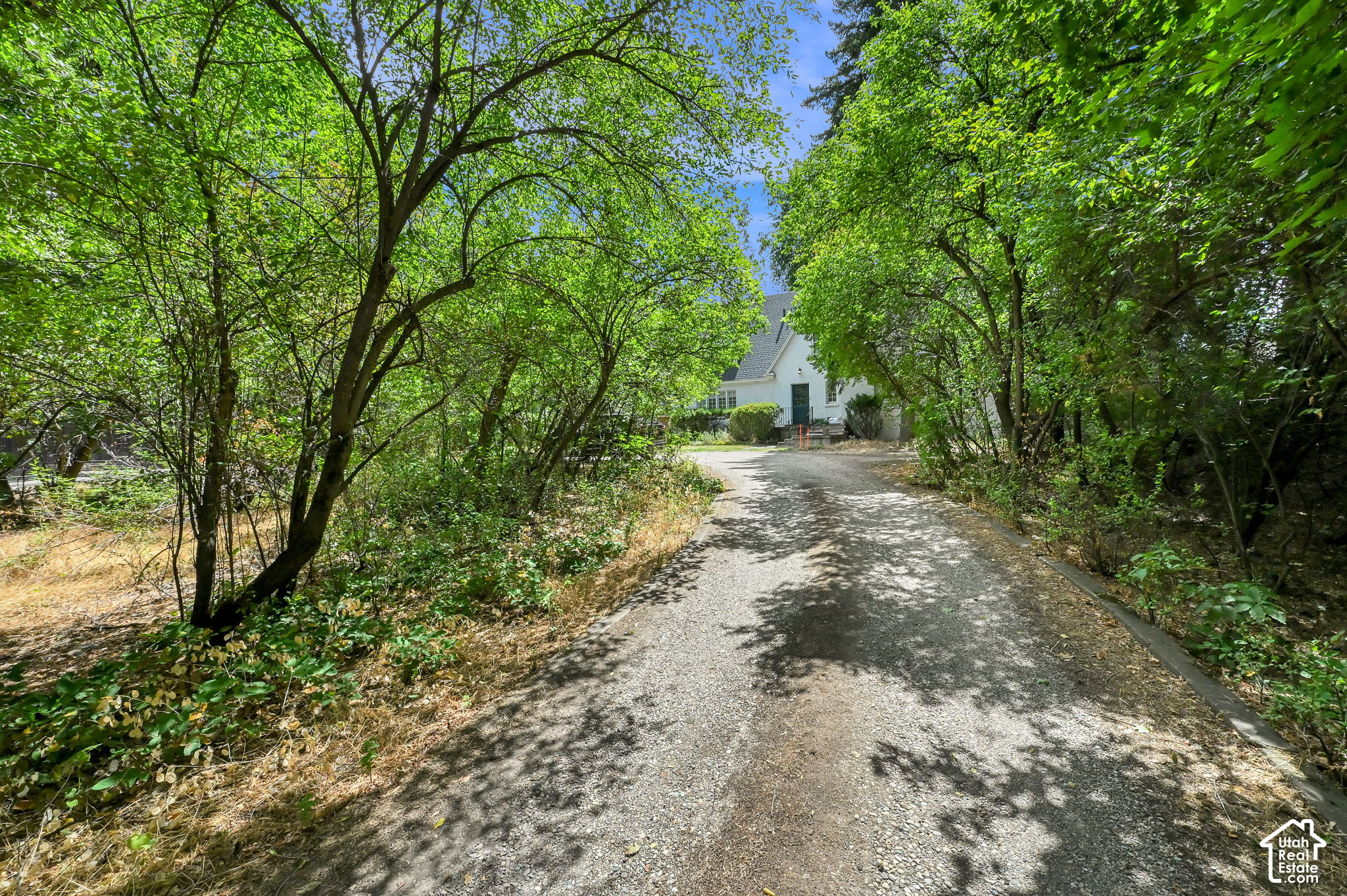 main property photo 68
