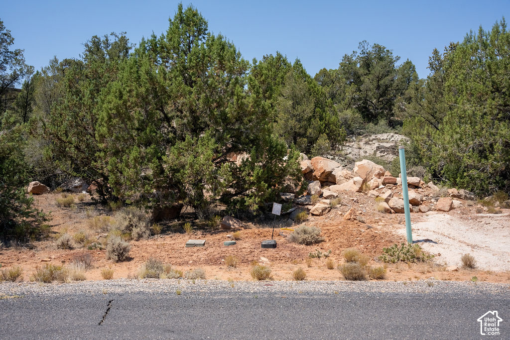 main property photo 14
