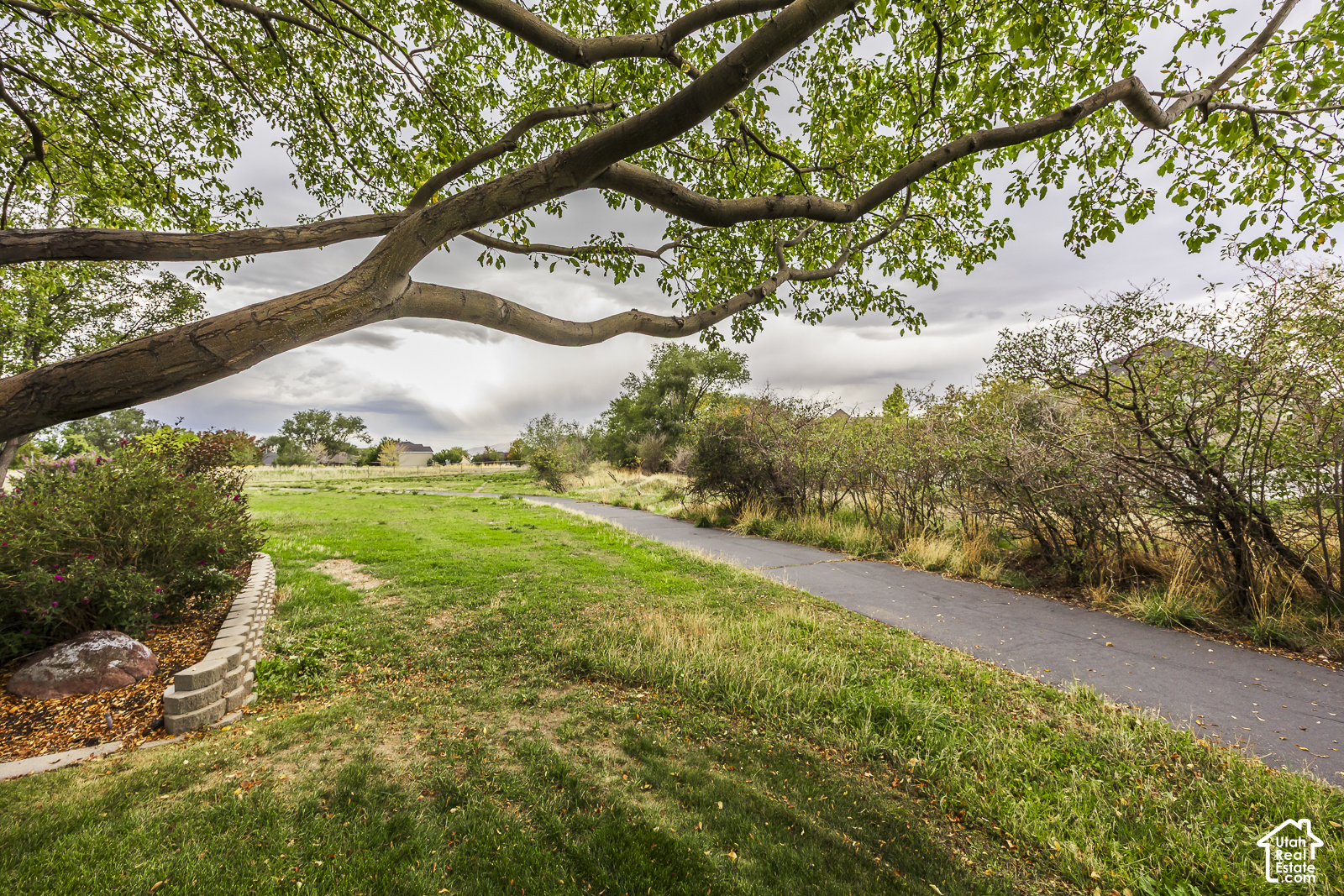 main property photo 54