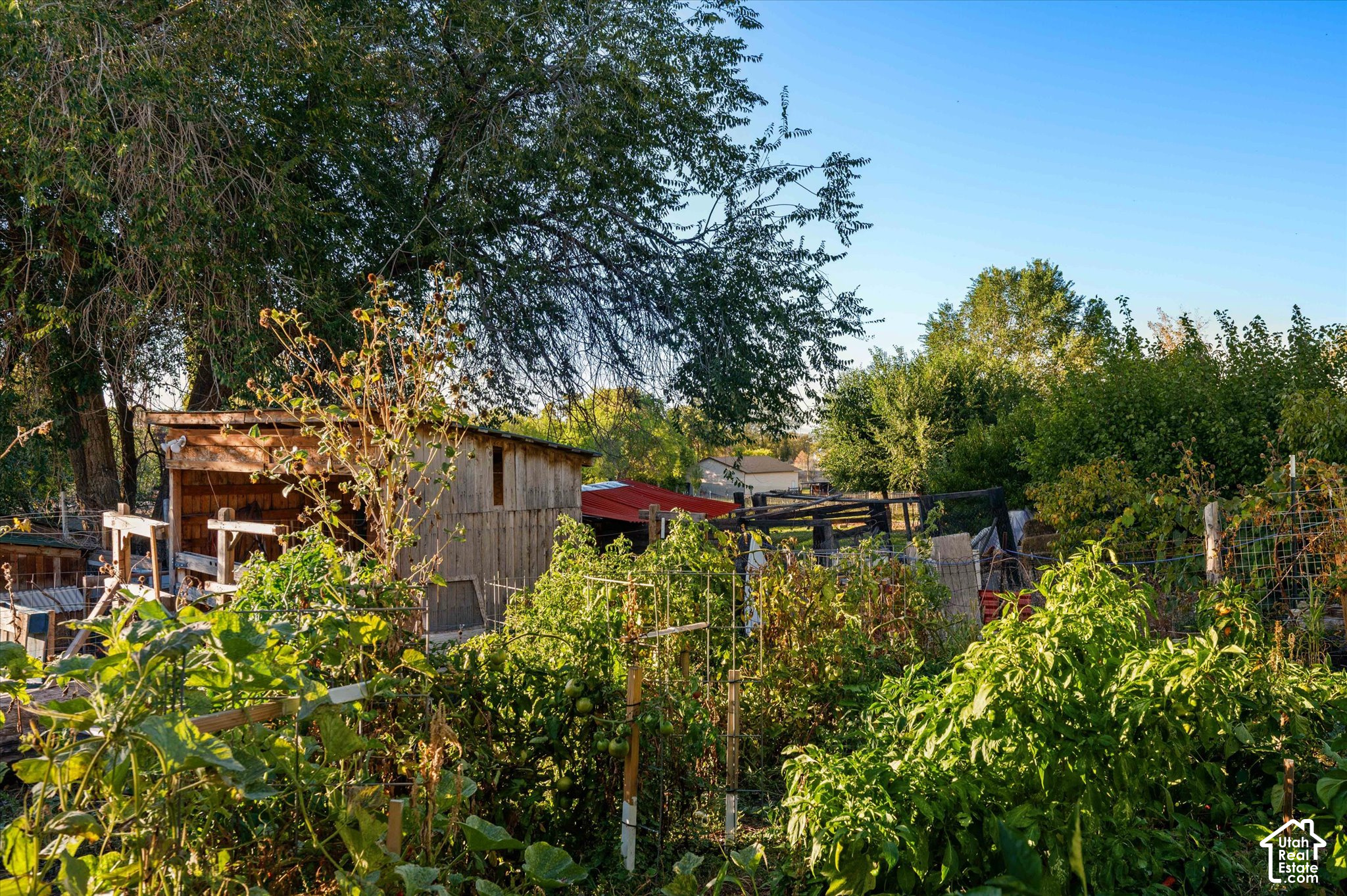 main property photo 33