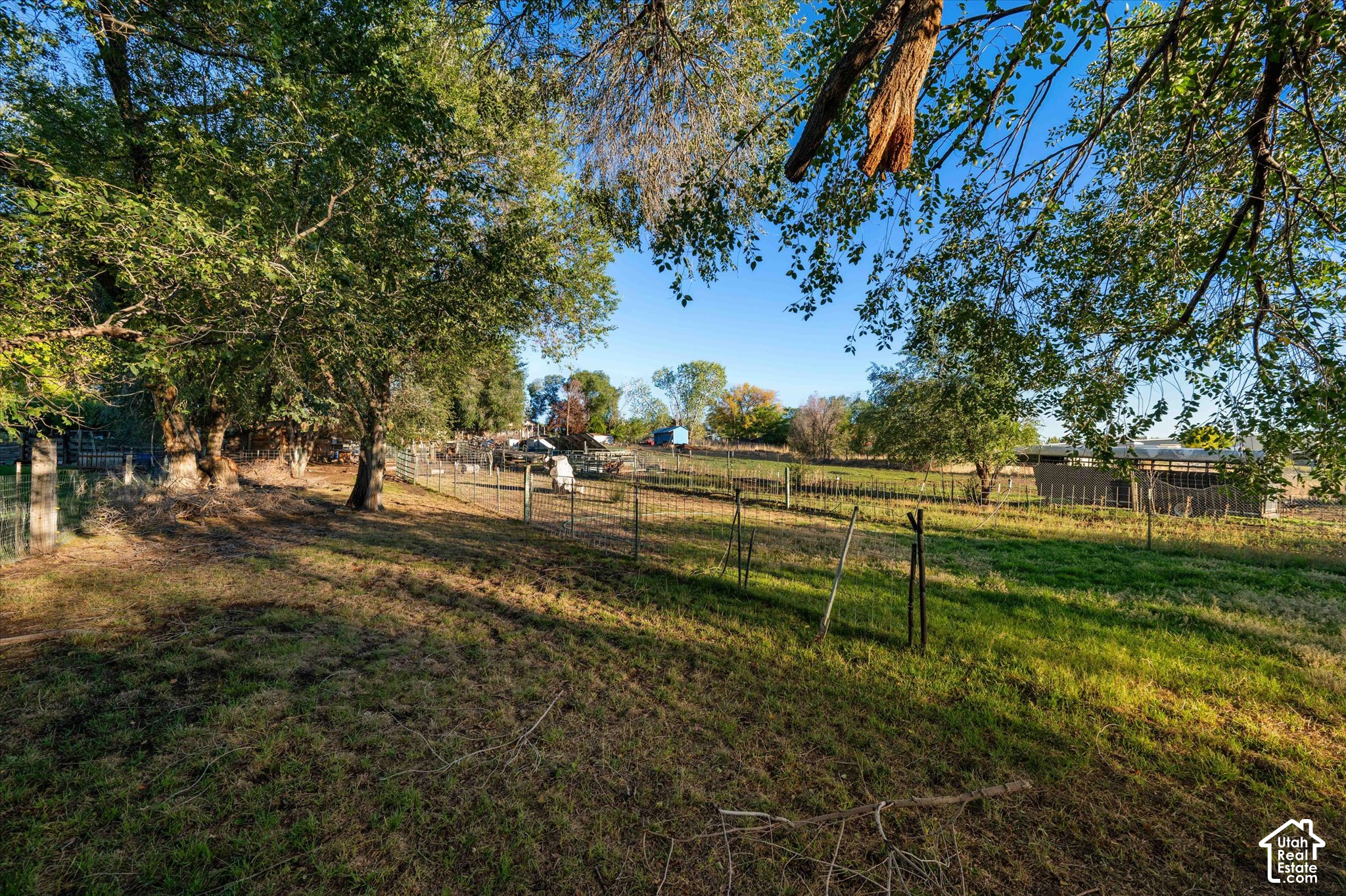 main property photo 39