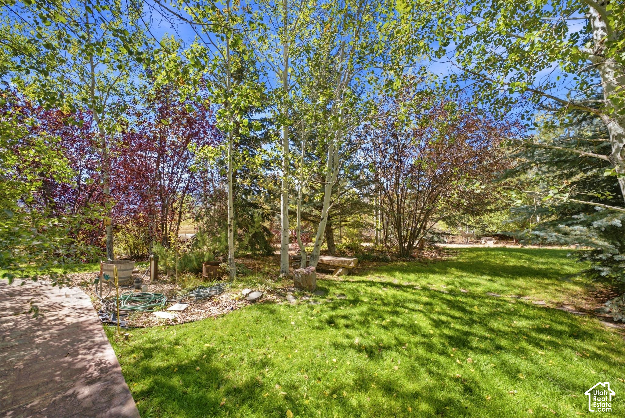main property photo 51