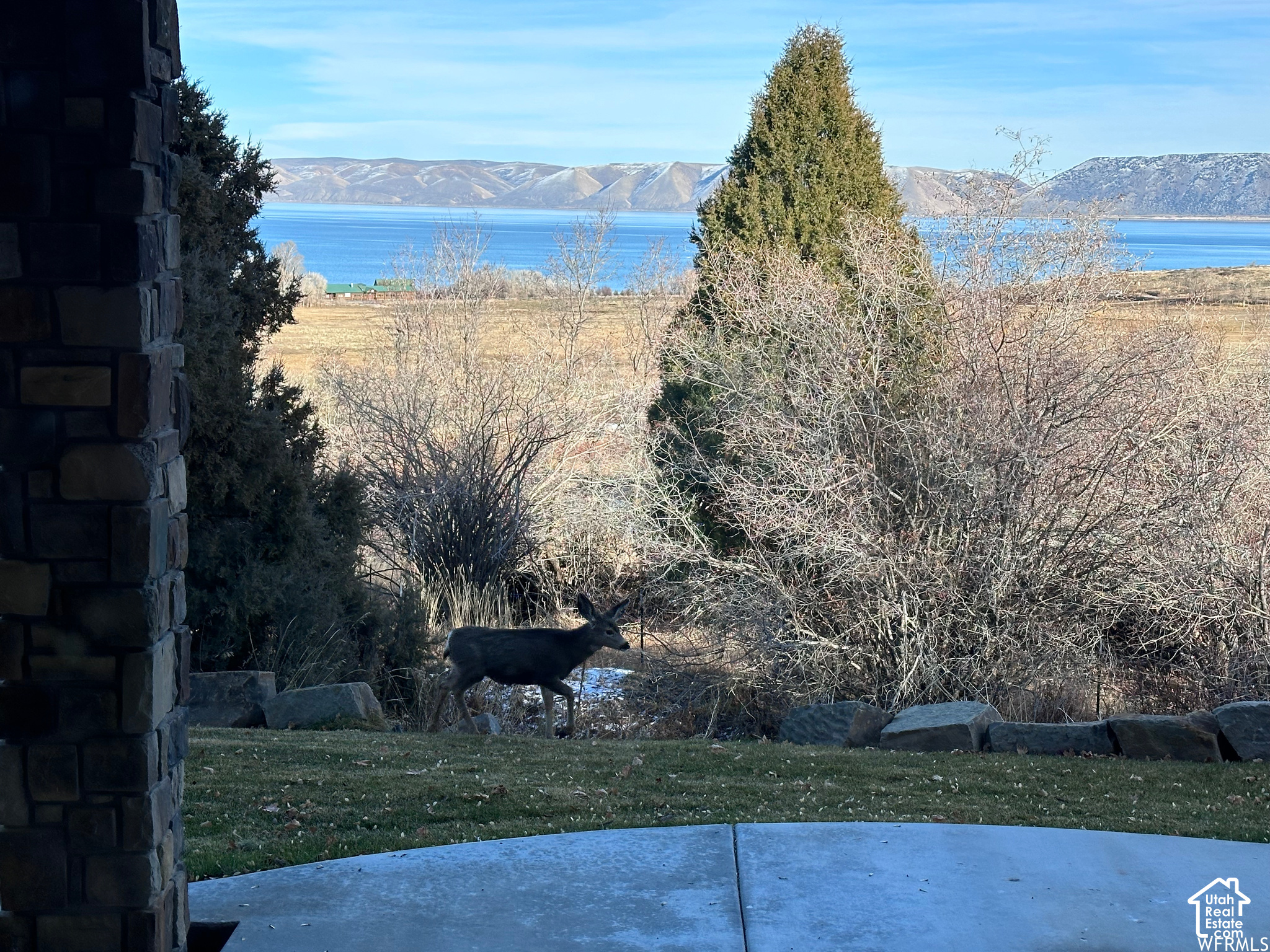 main property photo 38