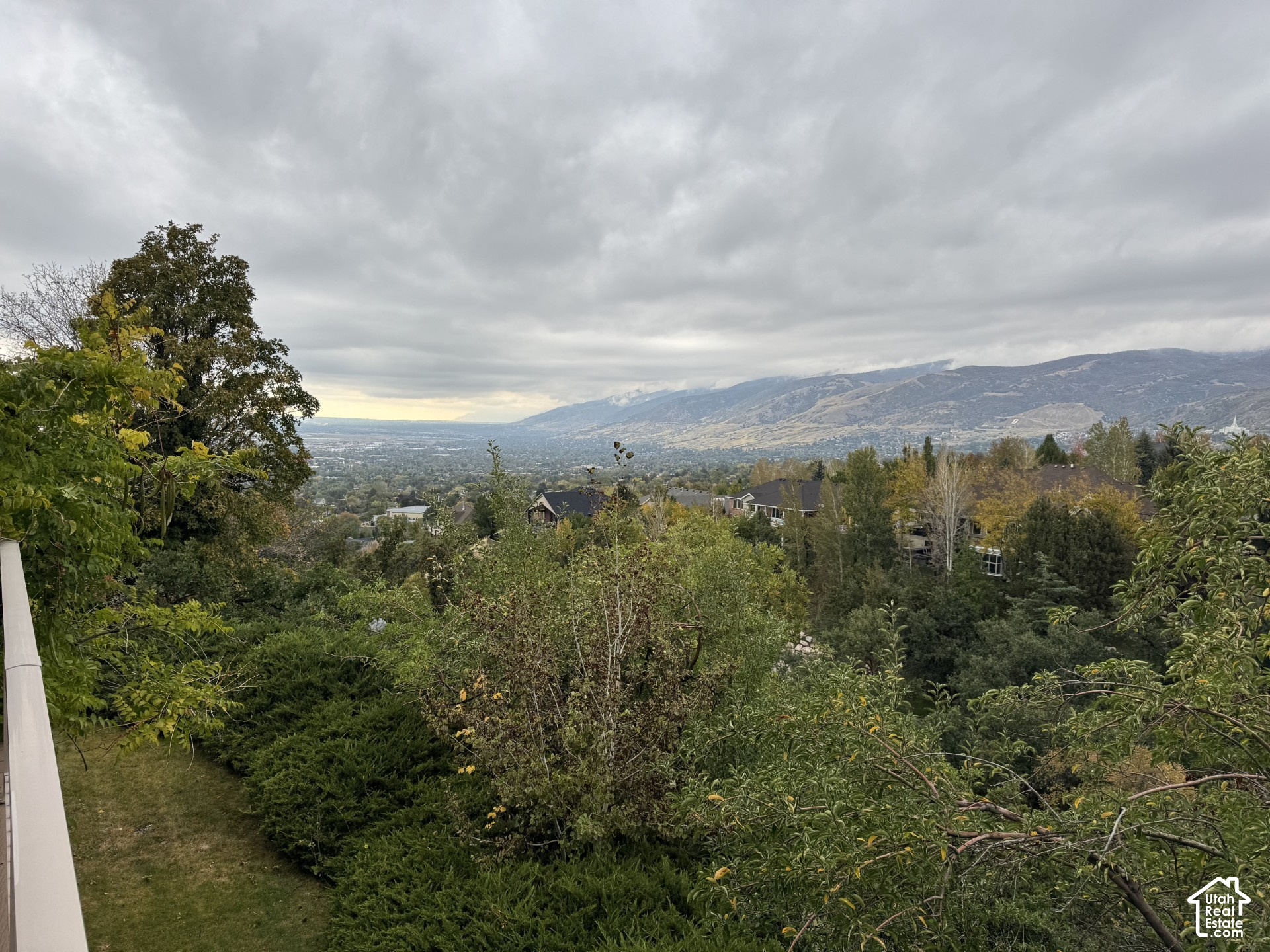 main property photo 54