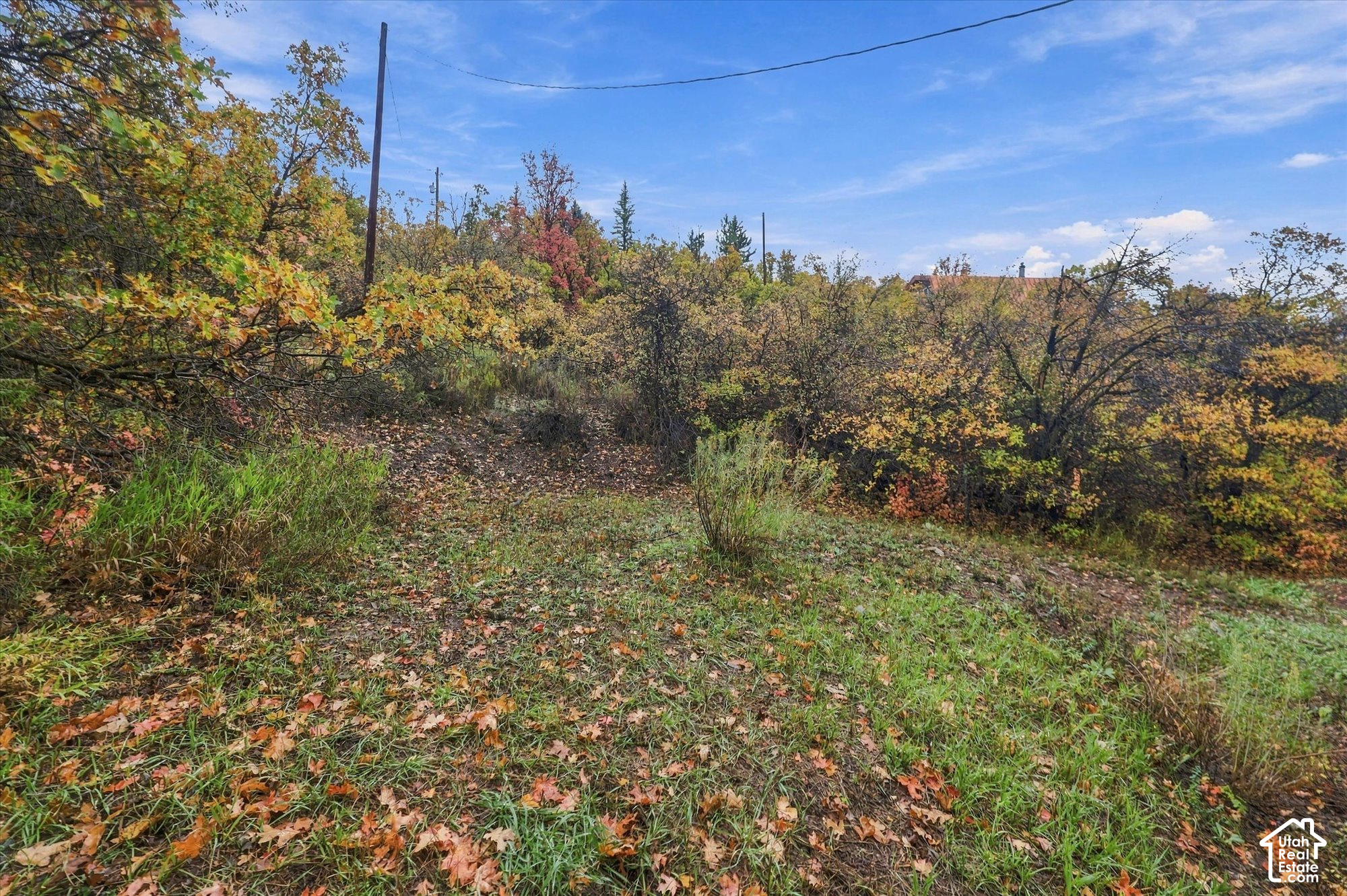 main property photo 31