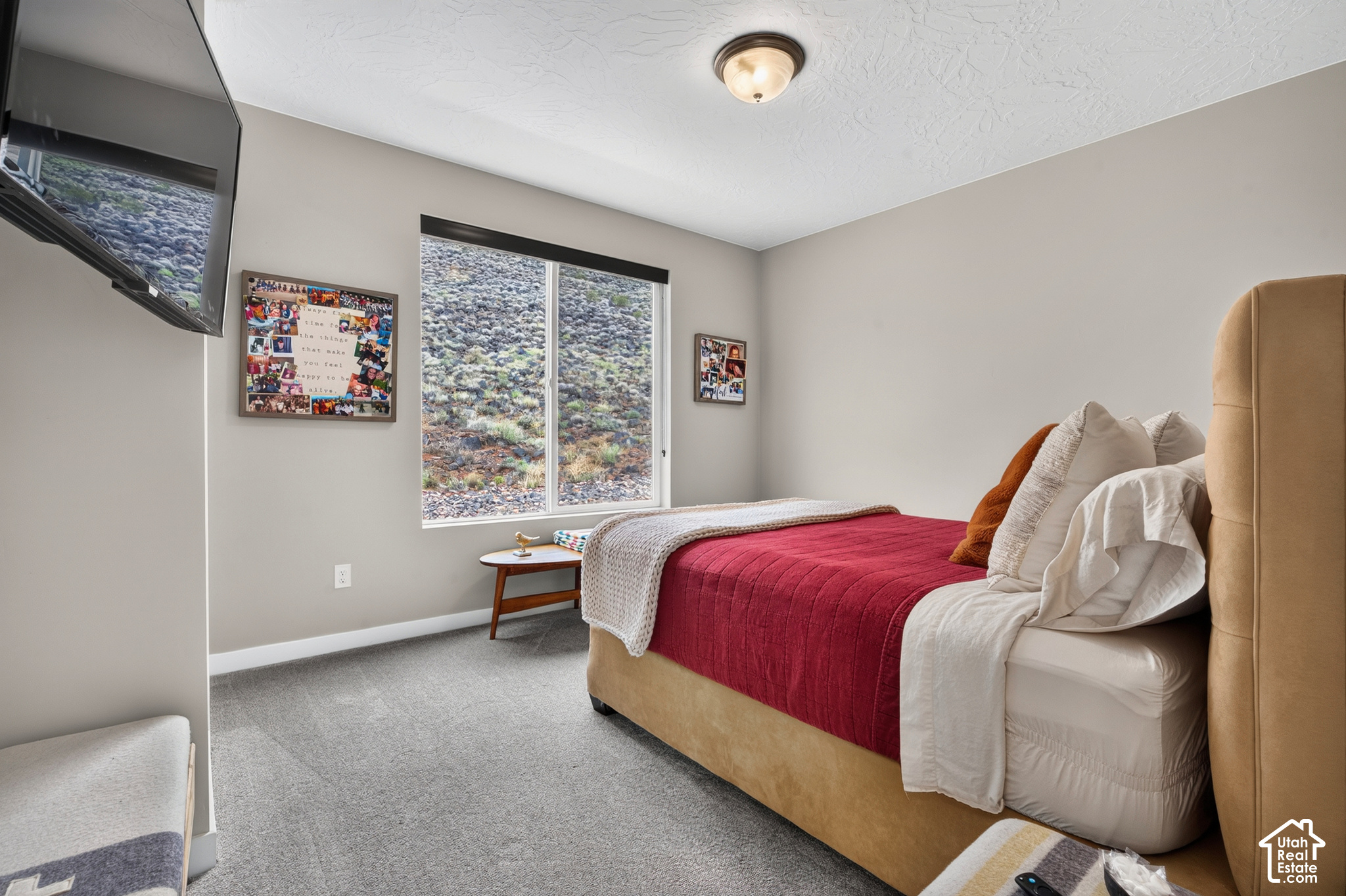 main property photo 111