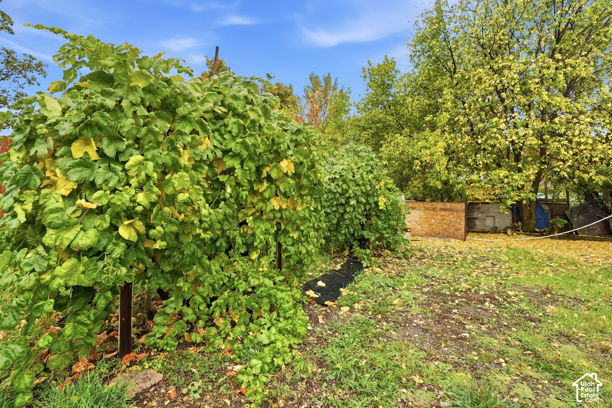 main property photo 23