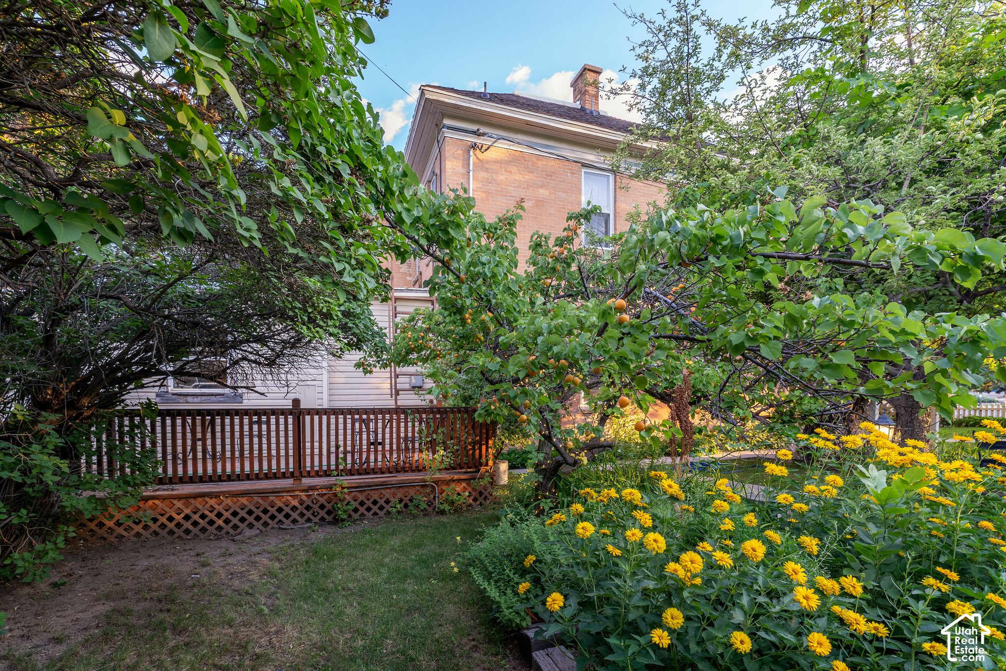 main property photo 33