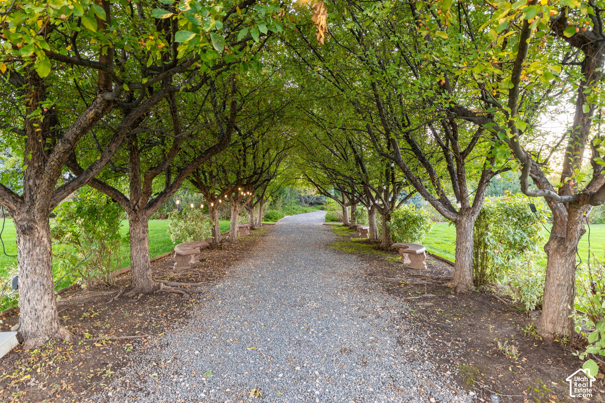 main property photo 81