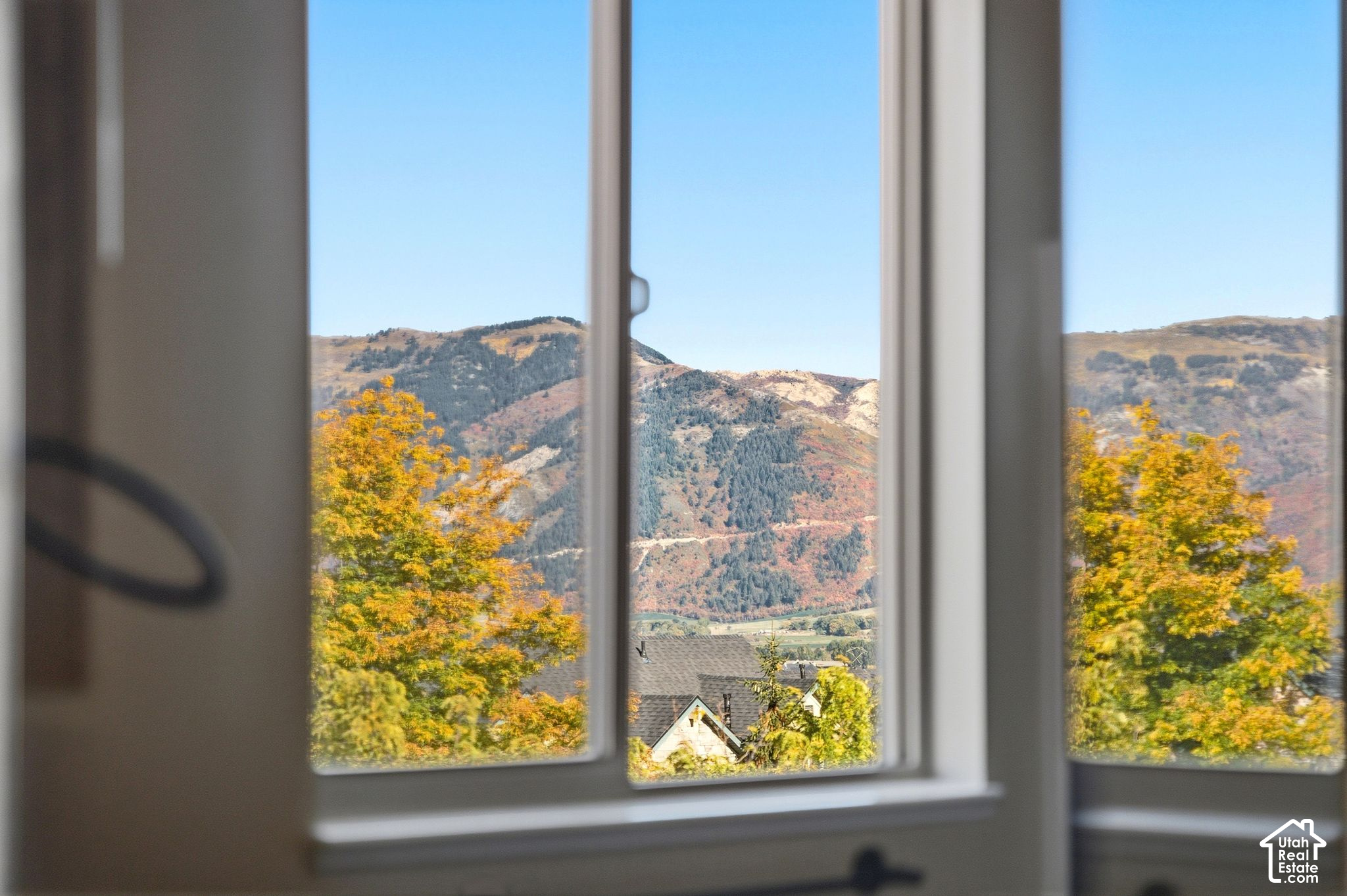 main property photo 53
