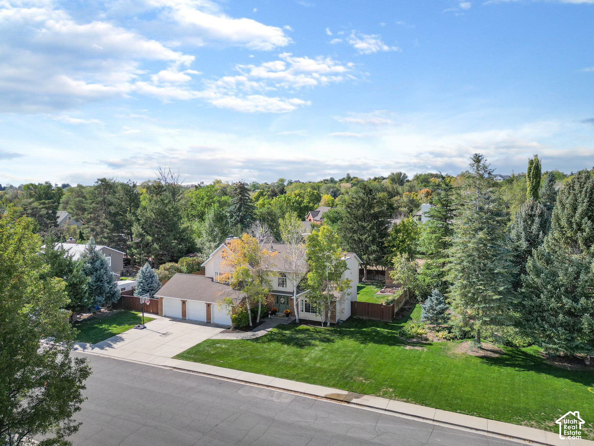 main property photo 62