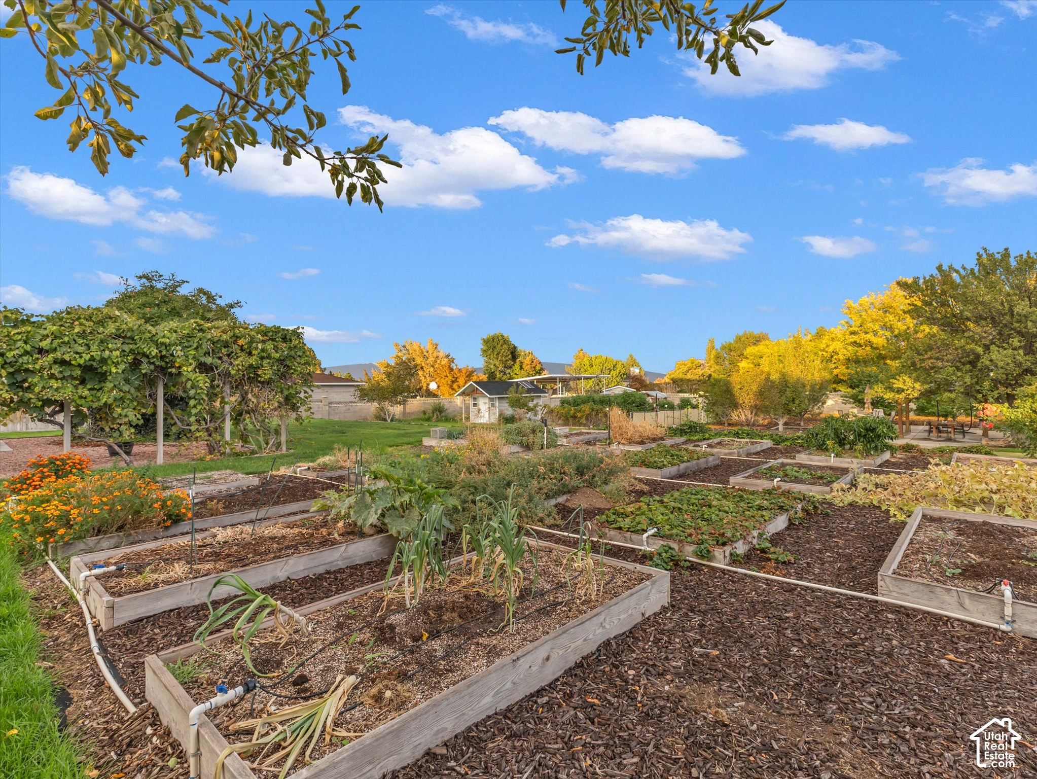 main property photo 42