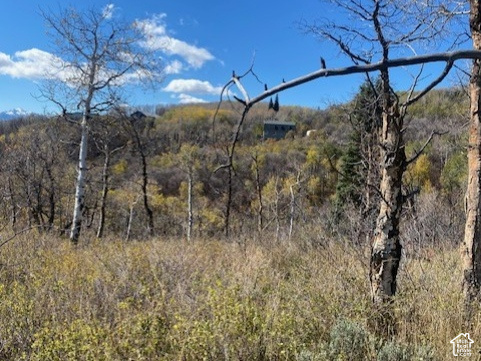 main property photo 12