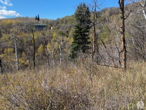 main property photo 15