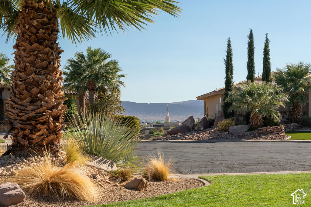 main property photo 38