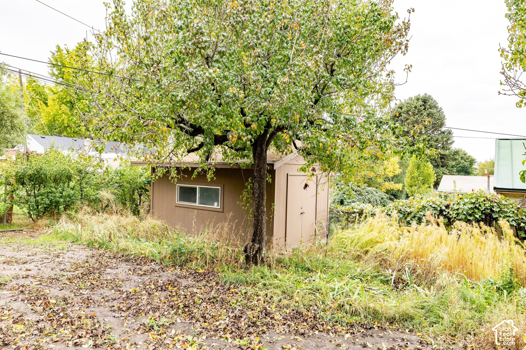 main property photo 14