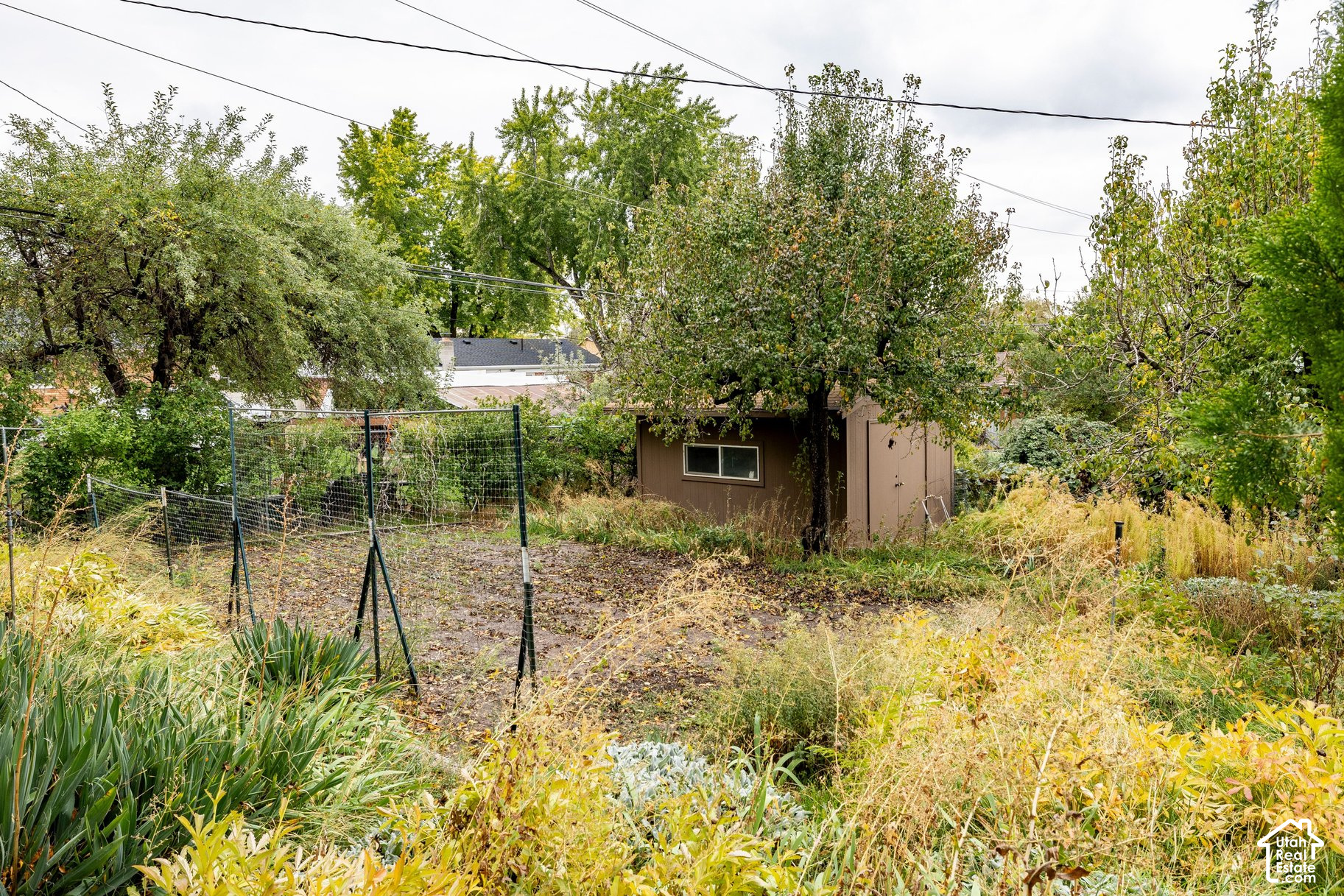main property photo 9