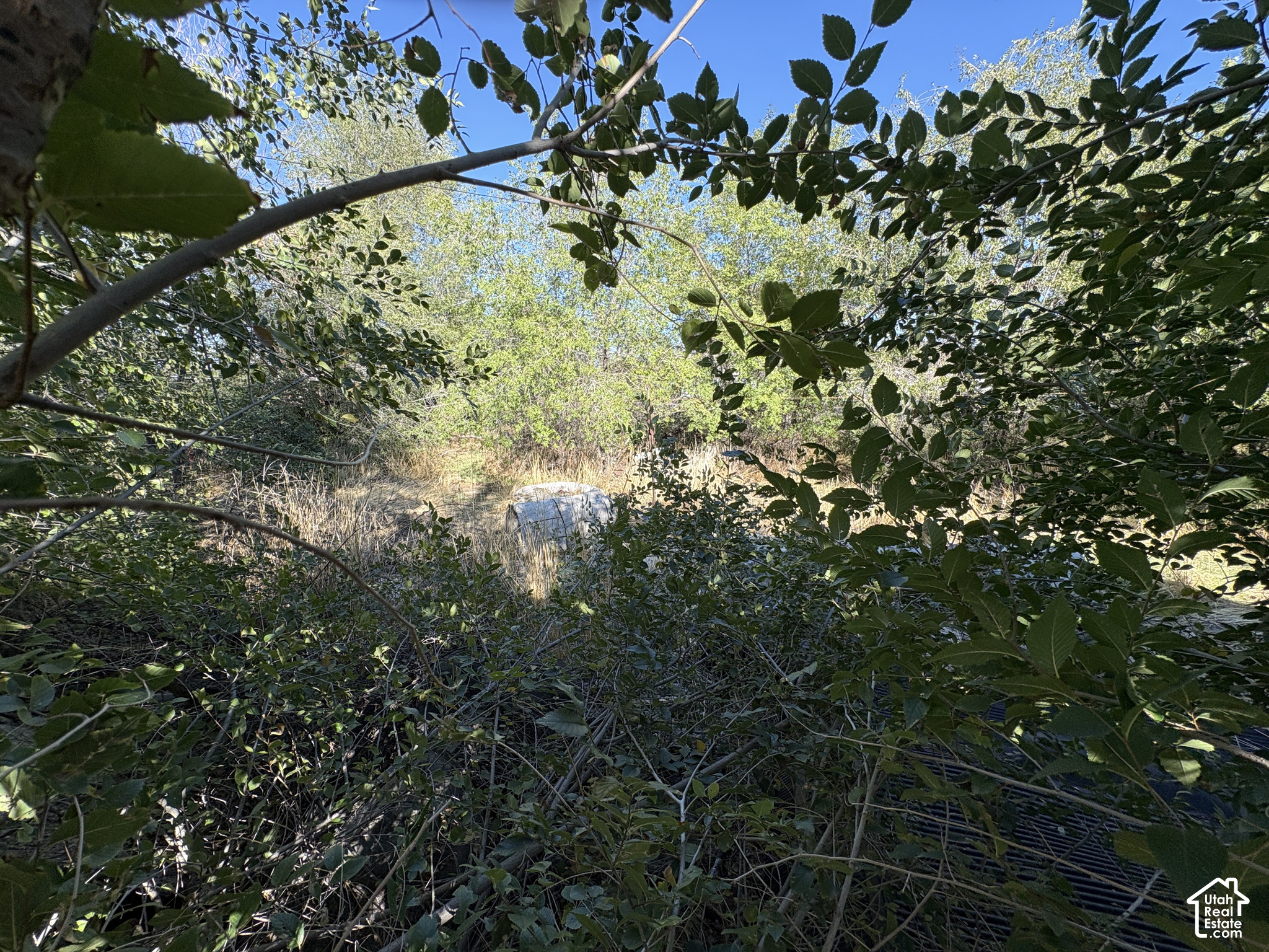 main property photo 16