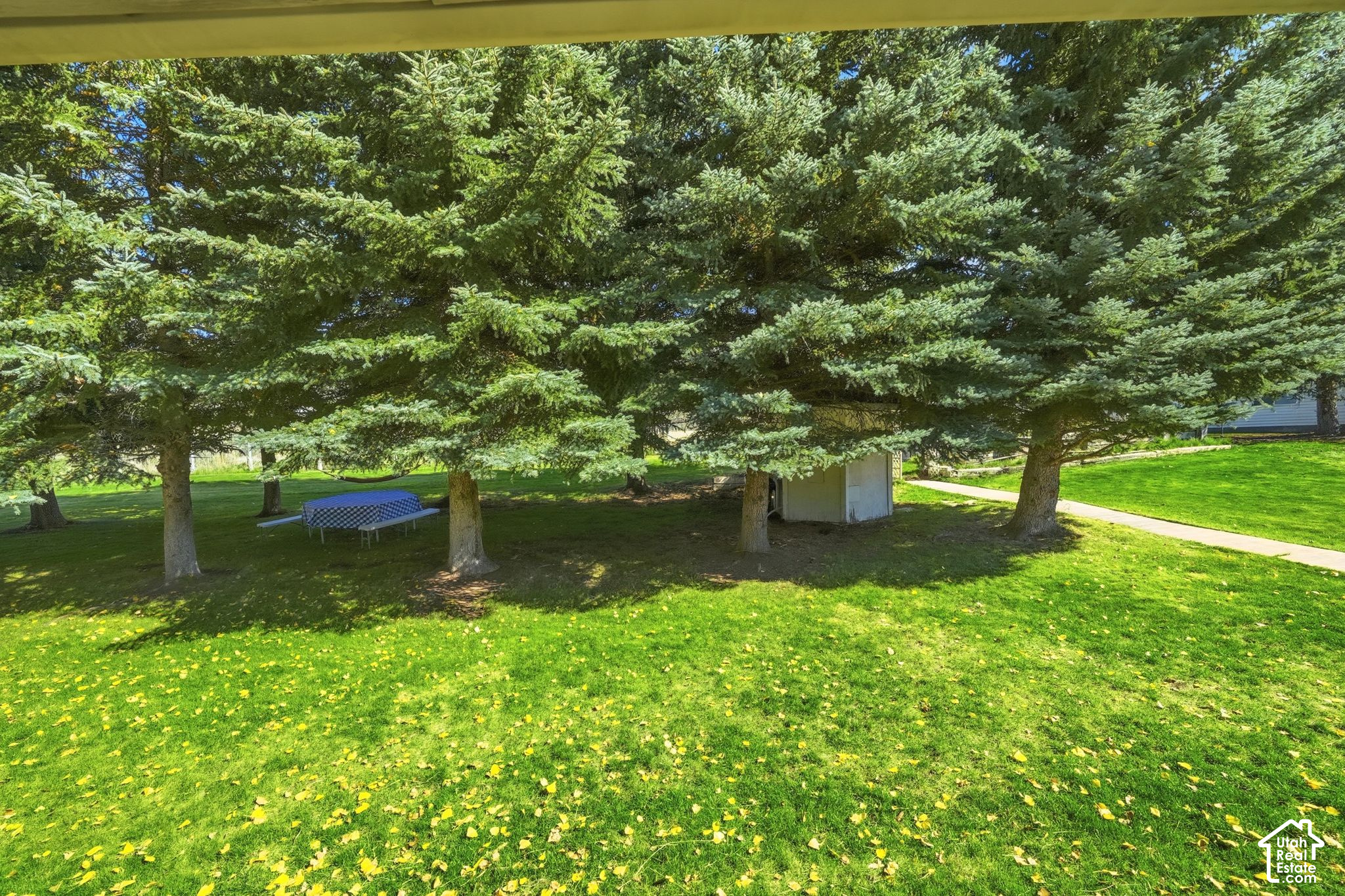 main property photo 36