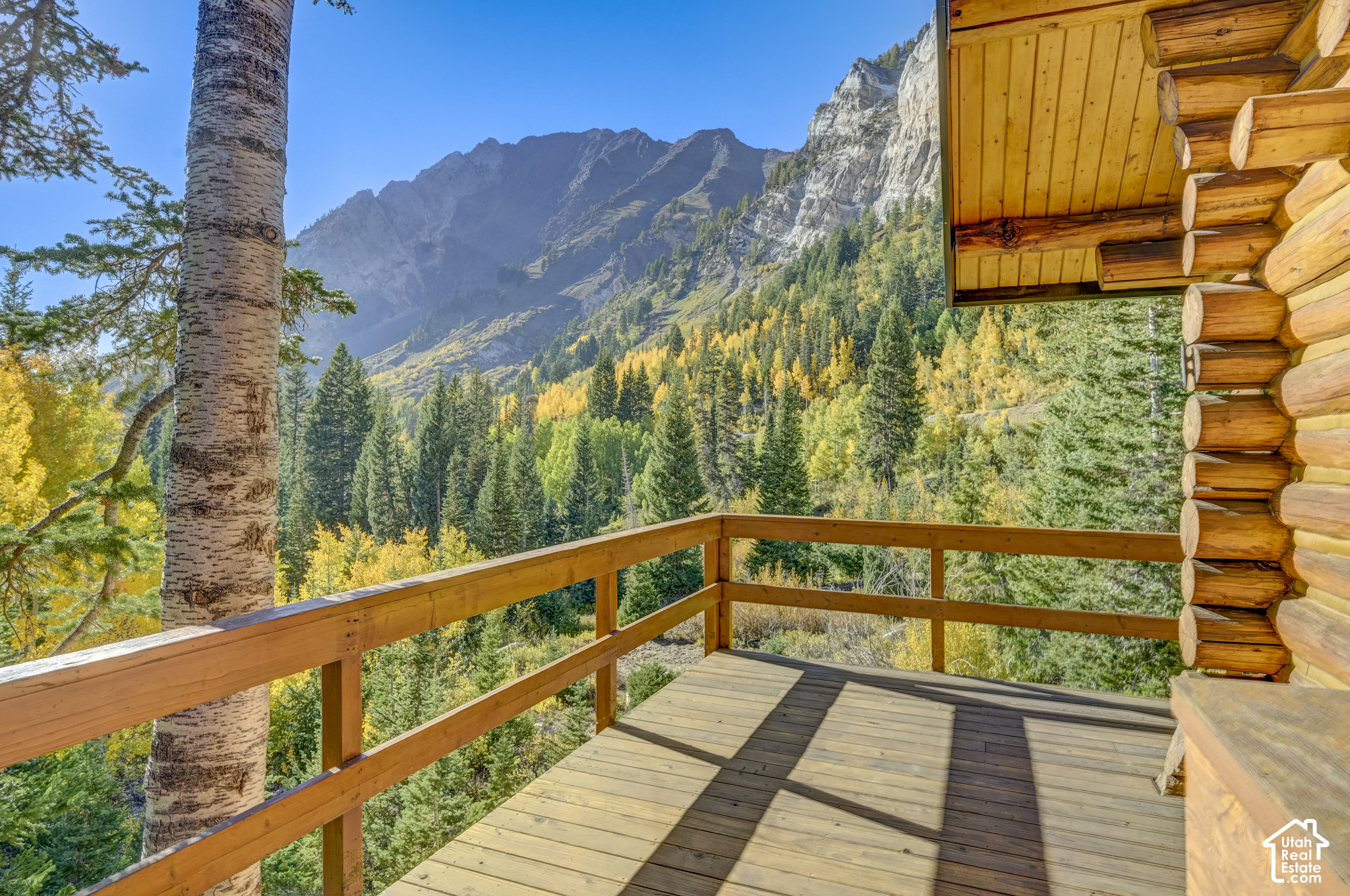 main property photo 48