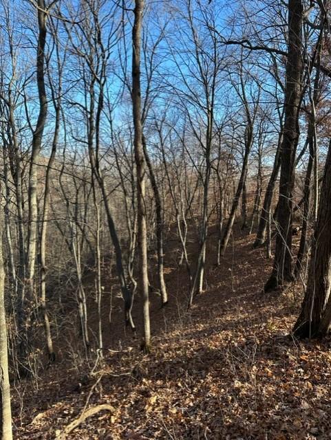 main property photo 16