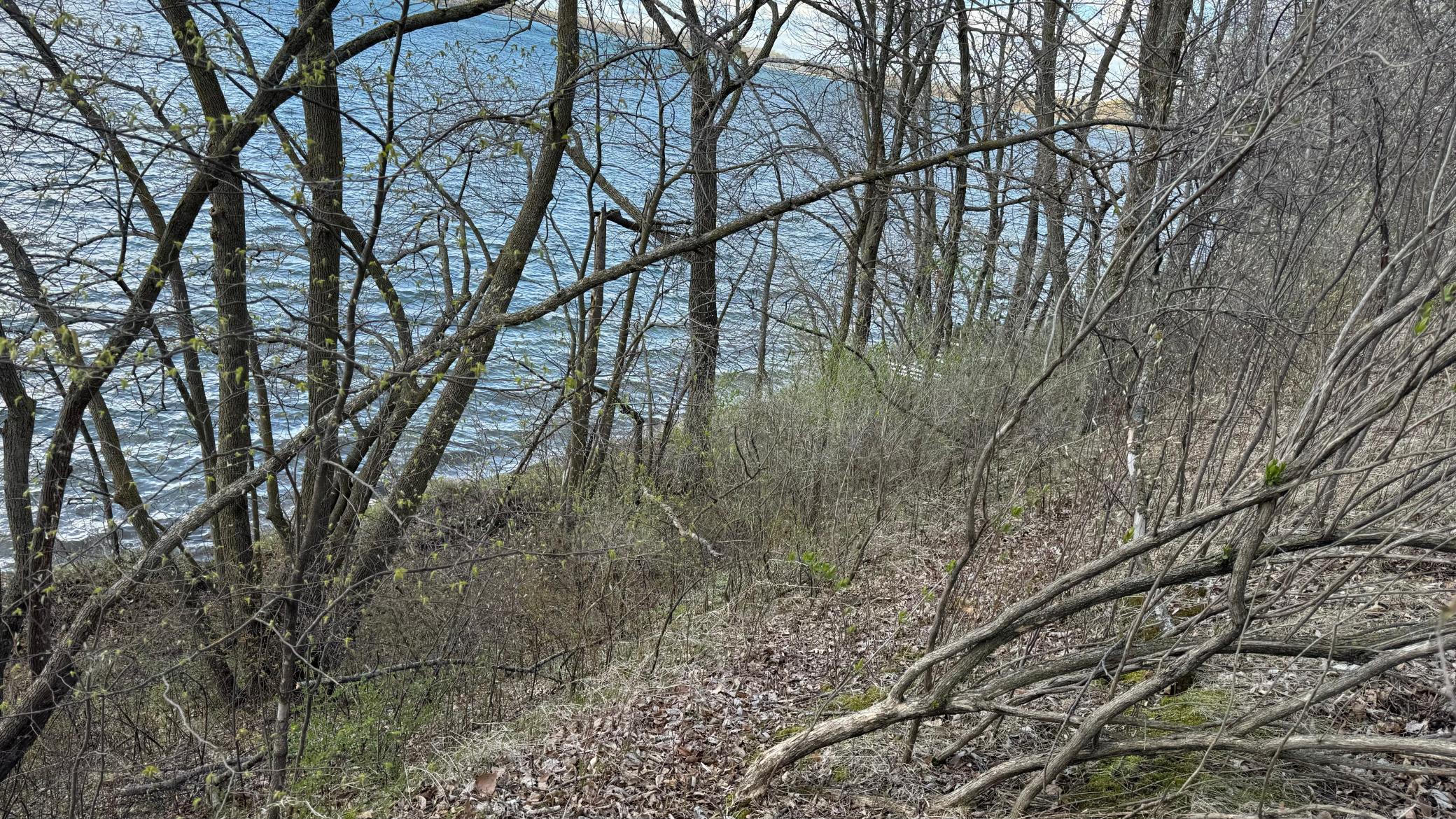 main property photo 31