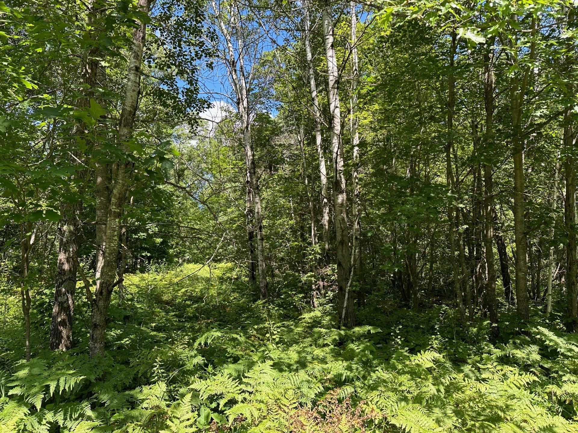 main property photo 31