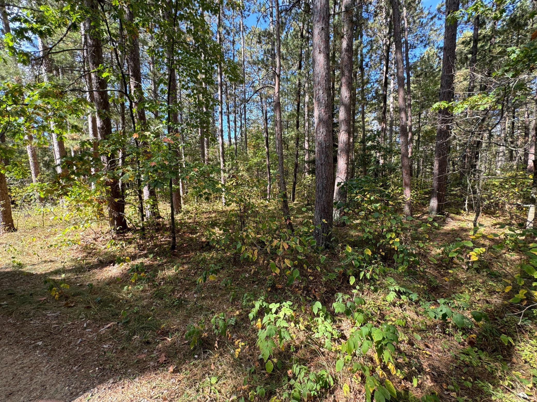 main property photo 8