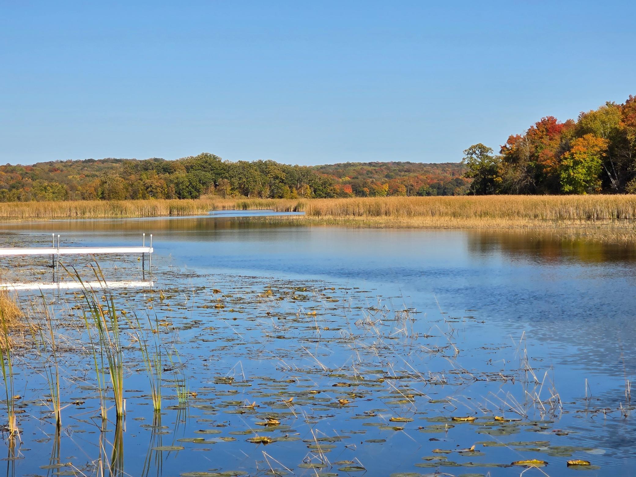 main property photo 50