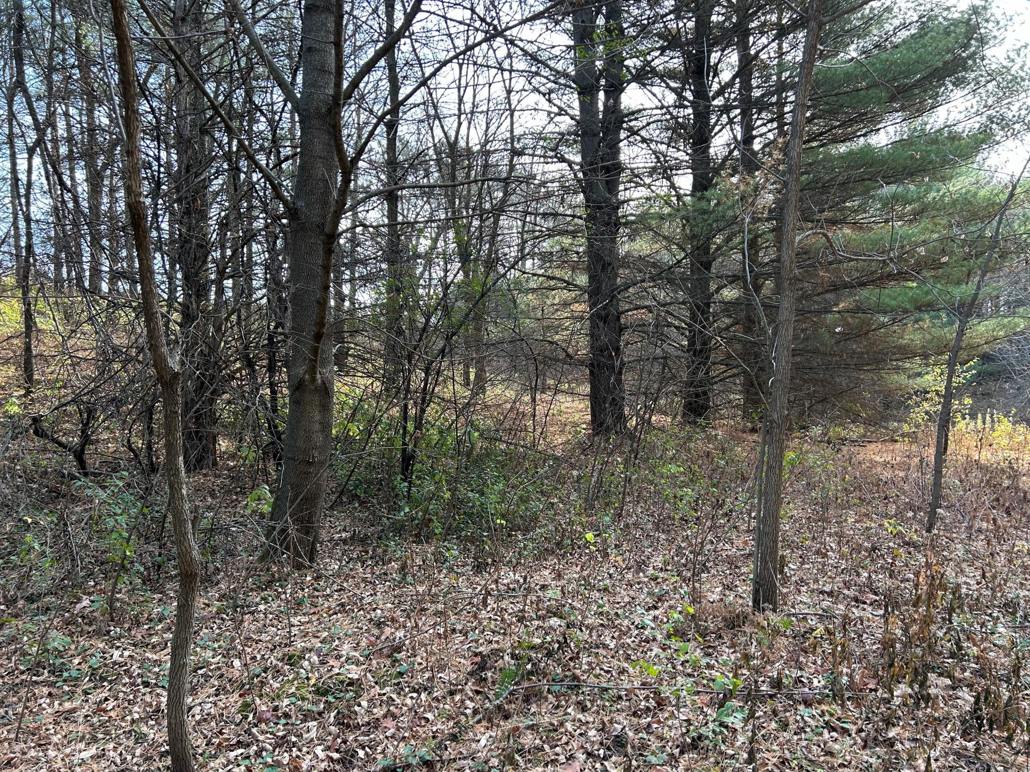 main property photo 13
