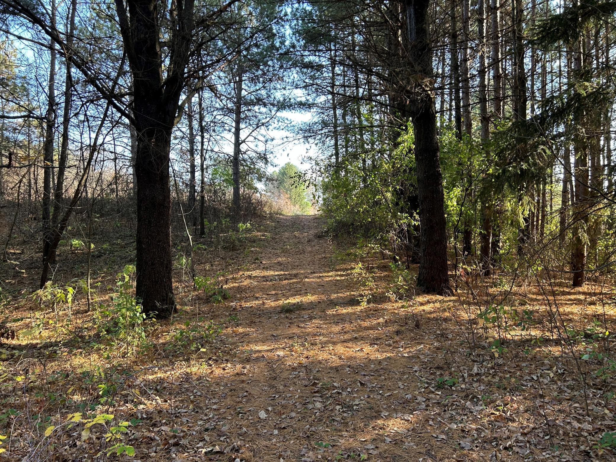 main property photo 18
