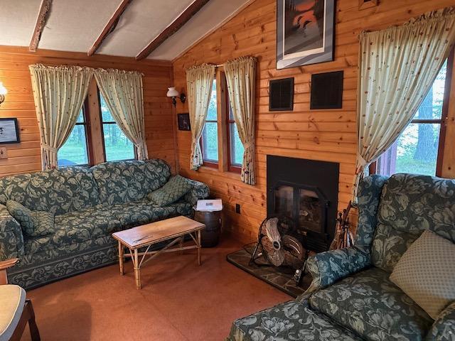 main property photo 46