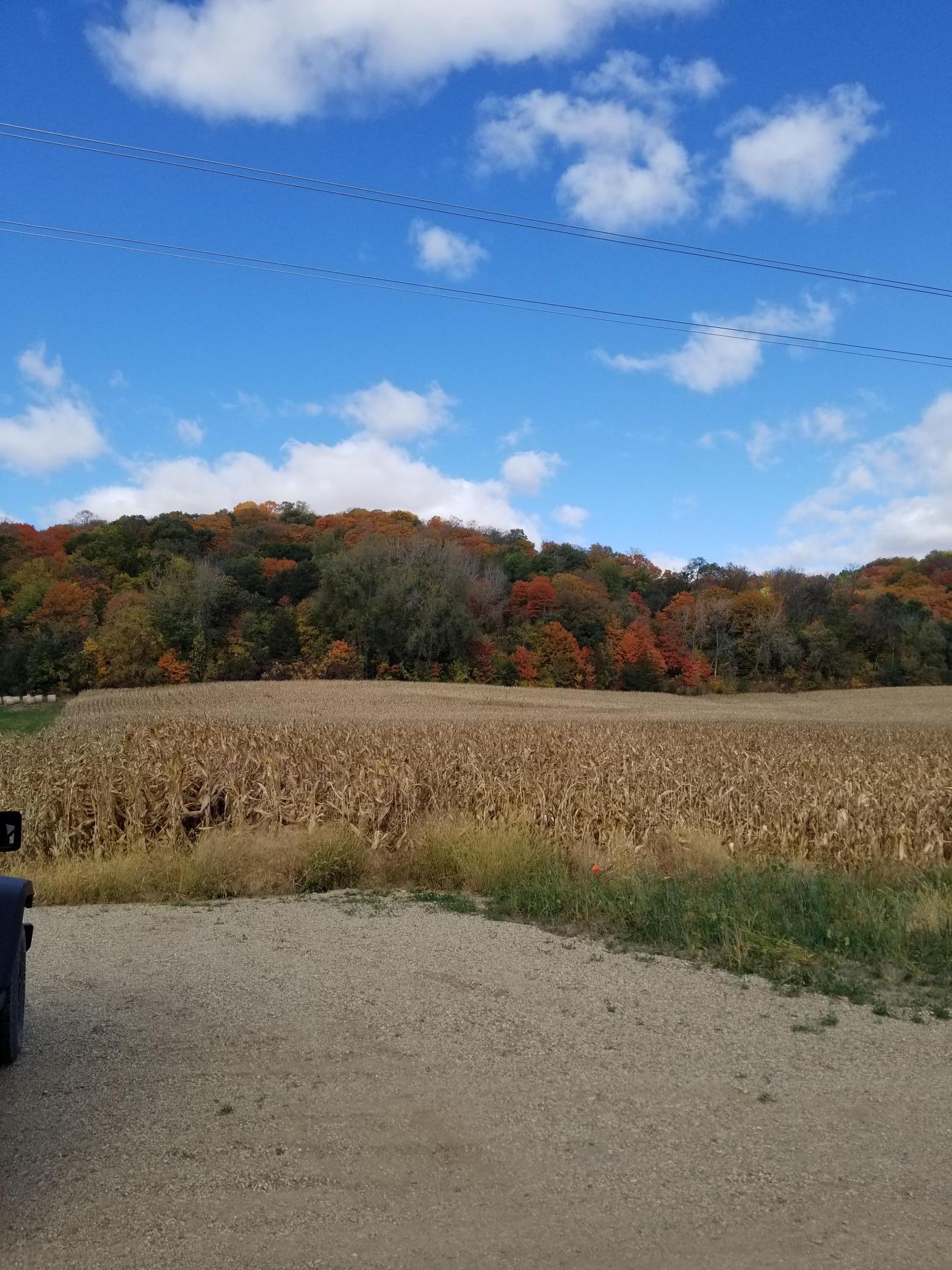 main property photo 10