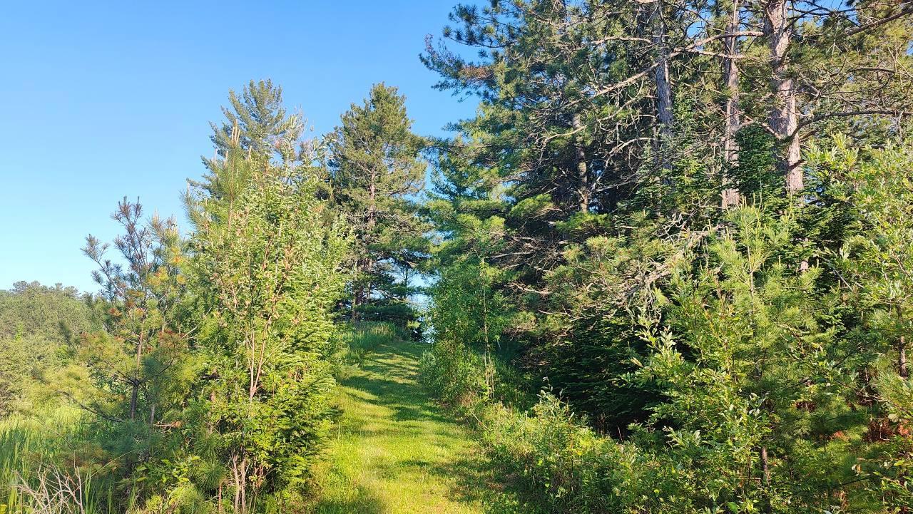 main property photo 45